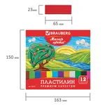 Պլաստիլին դասական BRAUBERG «Магия цвета», 12 գույն, 240 գ. - BRAUBERG (SKU: 103357) - Image 6 of 6 | Zangezur Pro