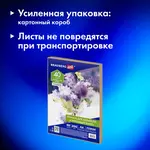 Ջրաներկի թուղթ A4 BRAUBERG ART CLASSIC «Յասամանագույն փունջ» (200 գ/մ², 40 թերթ) - BRAUBERG ART (SKU: 112321) - Image 10 of 16 | Zangezur Pro