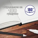 Էսքիզների տետր (սկեչբուք) BRAUBERG ART Classic A5, 80 թերթ, սև - BRAUBERG ART (SKU: 113182) - Image 7 of 7 | Zangezur Pro