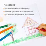 Գունավոր մատիտներ BRAUBERG PREMIUM (12 գույն) - BRAUBERG (SKU: 181661) - Image 13 of 15 | Zangezur Pro