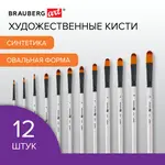 Գեղարվեստական վրձինների հավաքածու BRAUBERG ART DEBUT, սինթետիկ, օվալաձև, 12 կտոր - BRAUBERG ART (SKU: 201051) - Image 2 of 20 | Zangezur Pro