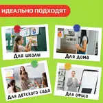 Գրատախտակի մագնիսներ STAFF (20 մմ, 8 հատ, տարբեր գույների) - STAFF (SKU: 236403) - Image 9 of 9 | Zangezur Pro
