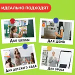Մագնիսներ մագնիսական գրատախտակի համար STAFF (20 մմ, 6 հատ, տեսականի) - STAFF (SKU: 236404) - Image 9 of 9 | Zangezur Pro