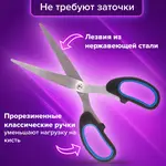 Մկրատ BRAUBERG Classic+, 185 մմ (Սև/Կապույտ) - BRAUBERG (SKU: 236448) - Image 13 of 14 | Zangezur Pro