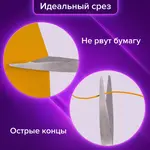 Մկրատ BRAUBERG Classic+, 185 մմ (Սև/Կապույտ) - BRAUBERG (SKU: 236448) - Image 14 of 14 | Zangezur Pro