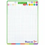 BRAUBERG KIDS Երկկողմանի նկարչական տախտակ մարկերով (24x34 սմ, A4, վանդակավոր/սպիտակ) - BRAUBERG KIDS (SKU: 238152) - Image 3 of 10 | Zangezur Pro