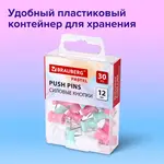 Մեխ-կոճգամներ BRAUBERG PASTEL (Պաստելային գույներ) - BRAUBERG (SKU: 272756) - Image 8 of 11 | Zangezur Pro