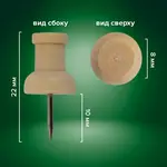 Փայտե սեղմակոճգամներ BRAUBERG WOOD - BRAUBERG (SKU: 272759) - Image 10 of 11 | Zangezur Pro