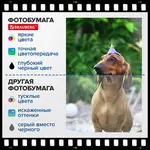 Փայլուն ֆոտոթղթ, 10x15 սմ, 230 գ/մ2, միակողմանի, 100 թերթ, BRAUBERG ORIGINAL - BRAUBERG (SKU: 364409) - Image 9 of 11 | Zangezur Pro