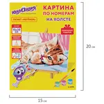«Փիսիկ» - Նկար ըստ թվերի UNLANDIA (15x20 սմ) - ЮНЛАНДИЯ (SKU: 662502) - Image 9 of 13 | Zangezur Pro